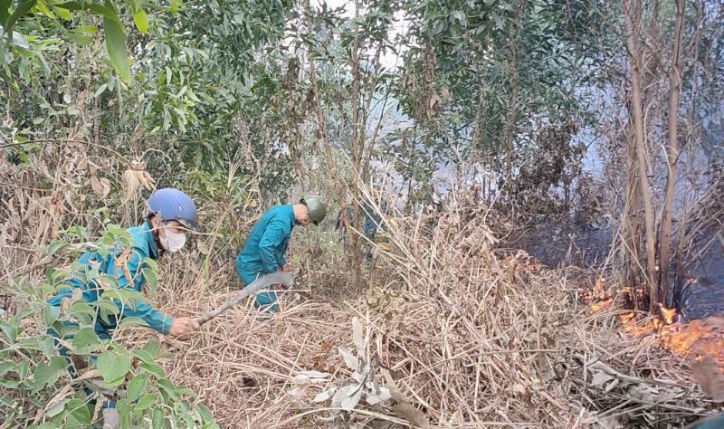 Lực lượng xã Bà Nà khẩn trương dập lửa, ngăn đám cháy lan rộng. Ảnh: Trường An