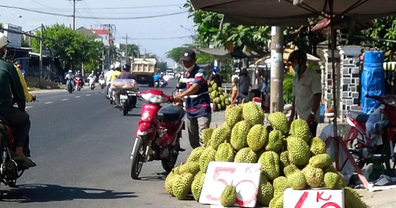Đồng Tháp: Hơn 111.000 tấn sầu riêng đối mặt áp lực kép
