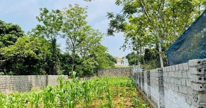 Giá đất nền có xu hướng hạ nhiệt