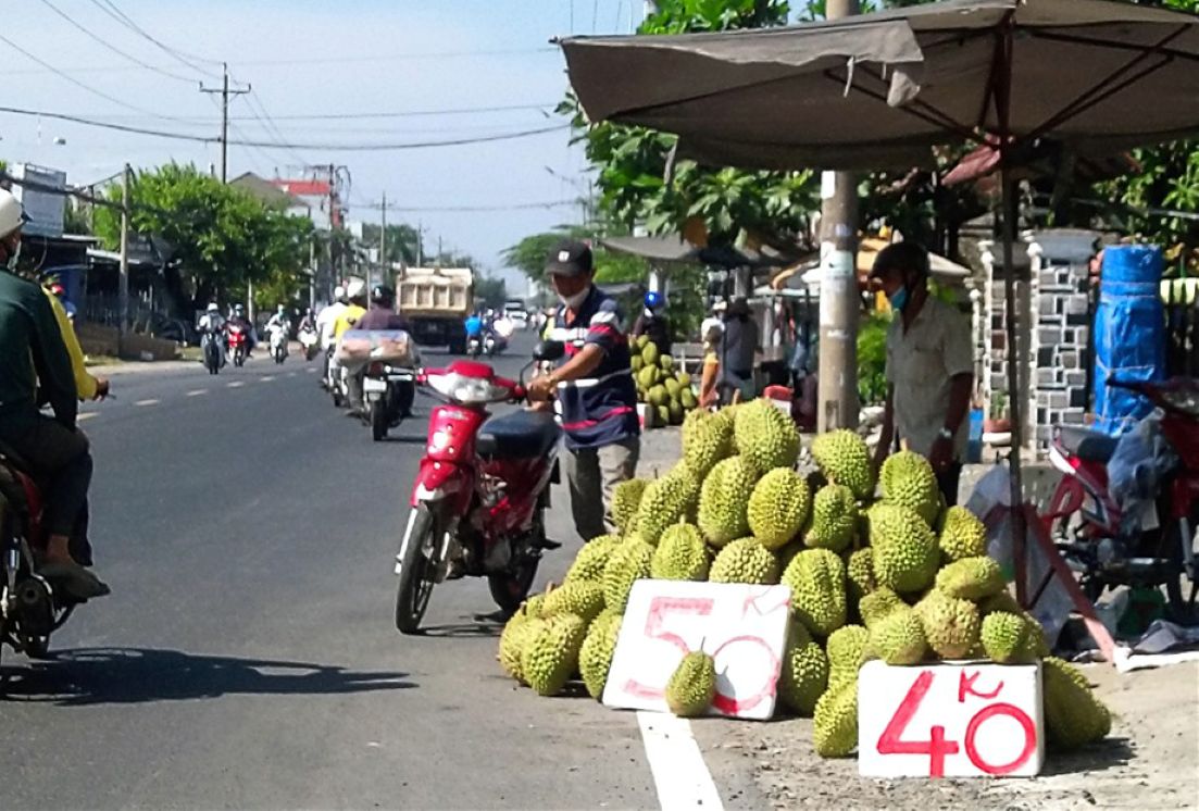 Currently, the retail price of durian is very low. Photo: Thanh Mai