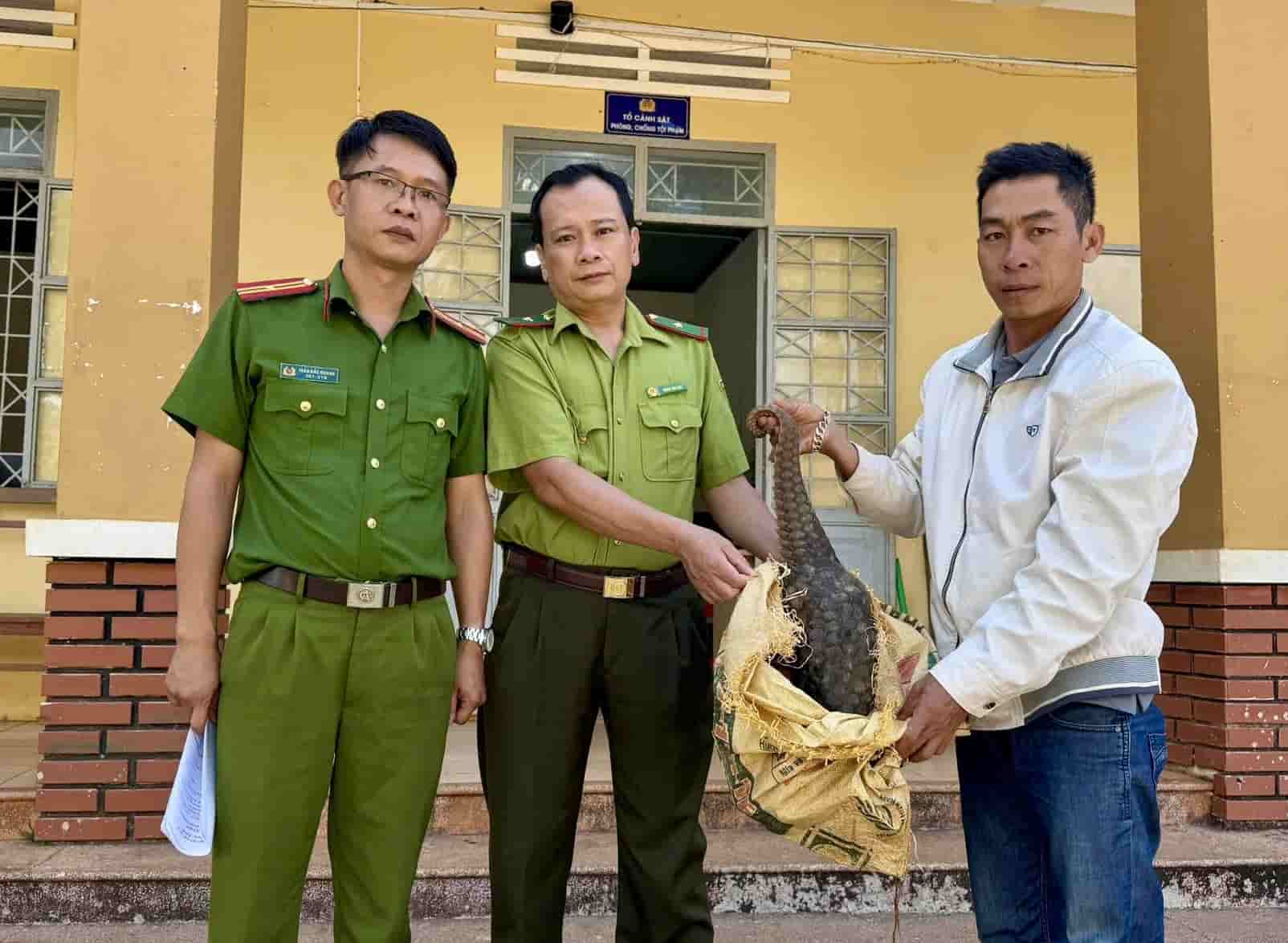 Người dân mang cá thể tê tê giao nộp cho cơ quan chức năng. Ảnh: ĐVCC