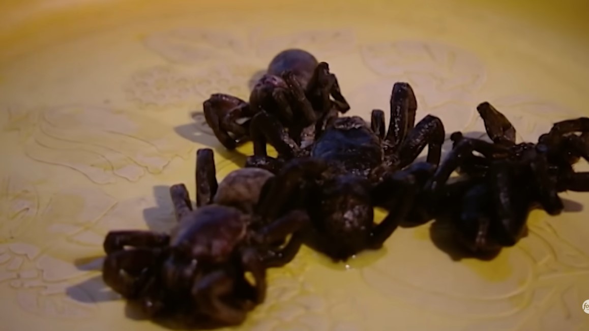 Nhện chiên cả con thử thách lòng can đảm của thực khách. Ảnh: Cắt từ video/Food Network UK