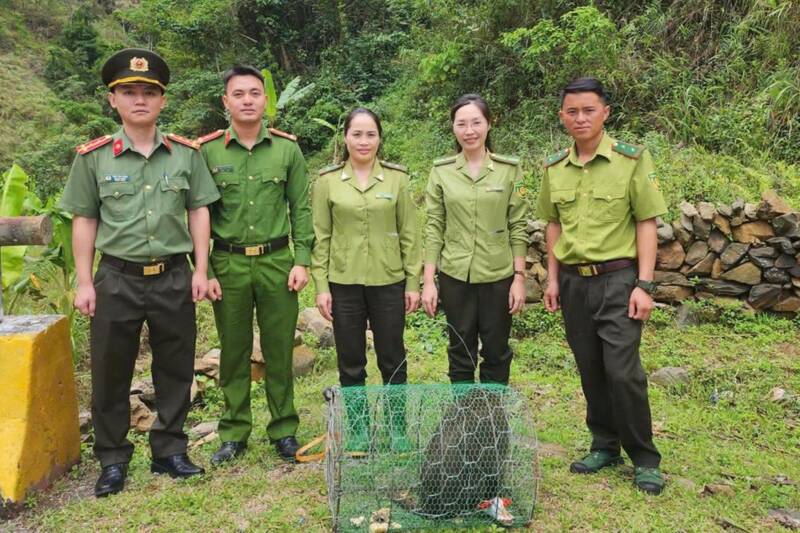 Functional forces release monkeys back into the forest at Muong La Nature Reserve, Son La province. Photo: Chieng Mung Commune Police