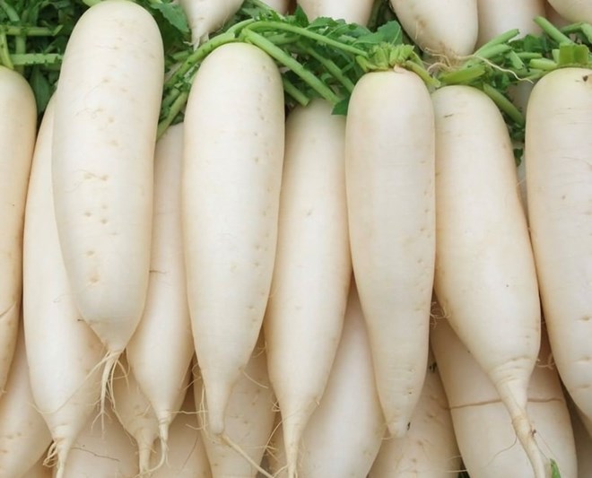 Xá bấu thực chất là củ cải trắng 