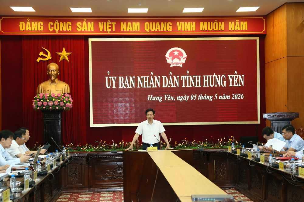 Phó Chủ tịch UBND tỉnh Lại Văn Hoàn phát biểu chỉ đạo tại cuộc họp. Ảnh: Tất Đạt