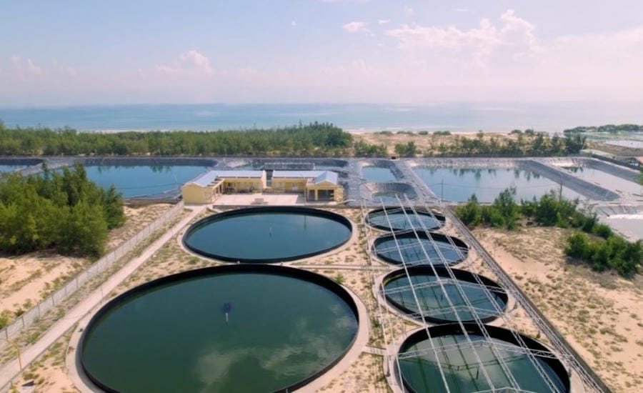 Industrial aquaculture model in Quang Nam. Photo: Bich Ngoc
