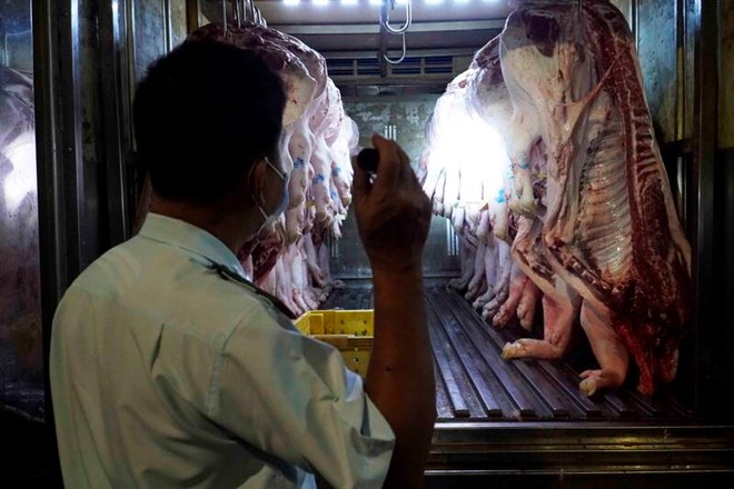 Pork in Ho Chi Minh City is strictly controlled. Photo: Le Chan
