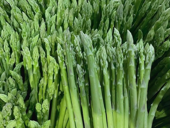 Vitamin B1 in asparagus is said to effectively support muscle growth. Photo: Kieu Vu