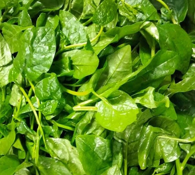 Le Malabar est l'un des légumes ajoutés au dîner pour un bon sommeil. Photo: Kiều Vũ