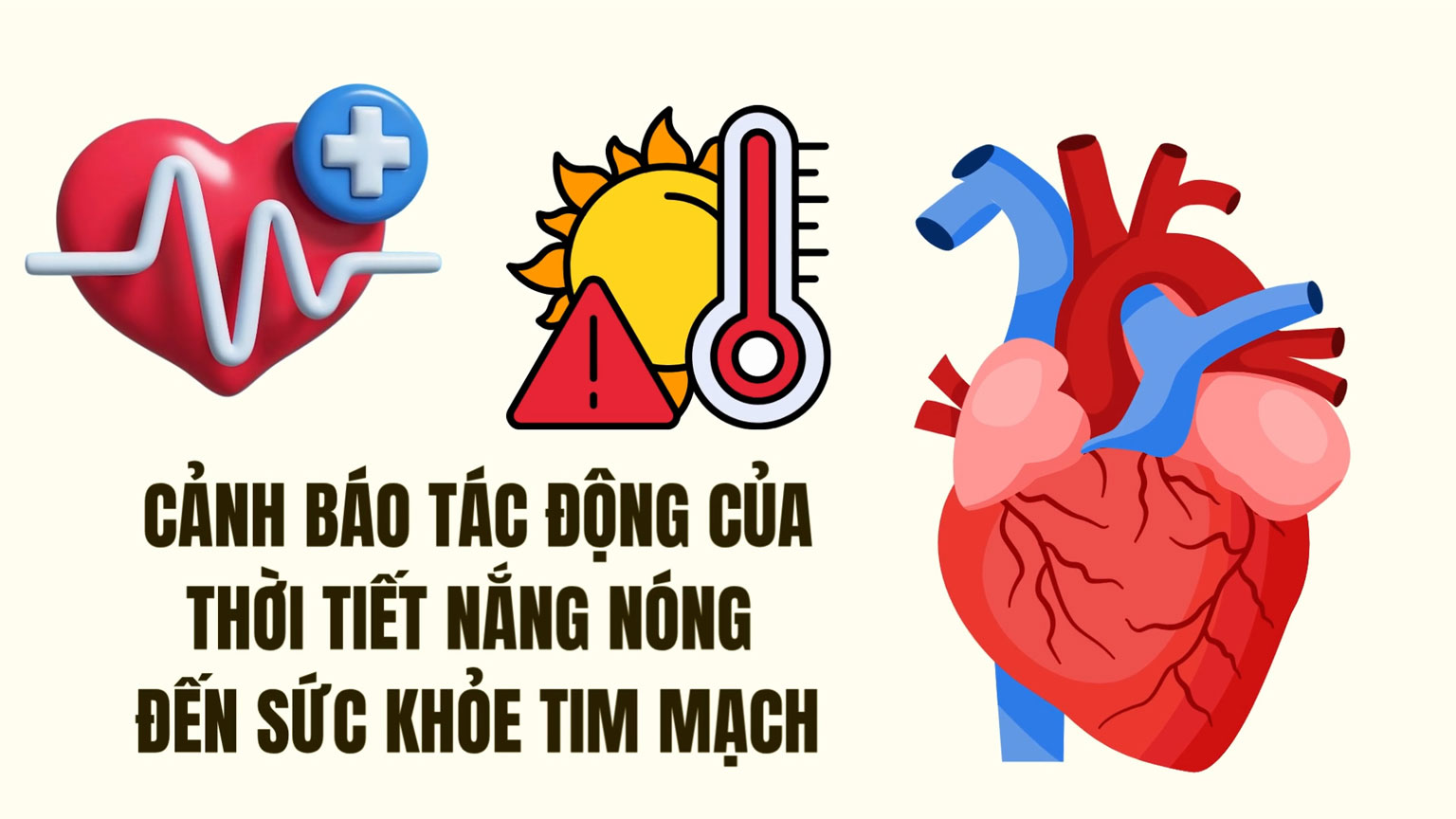 Hot weather not only causes dehydration but also directly affects cardiovascular health.