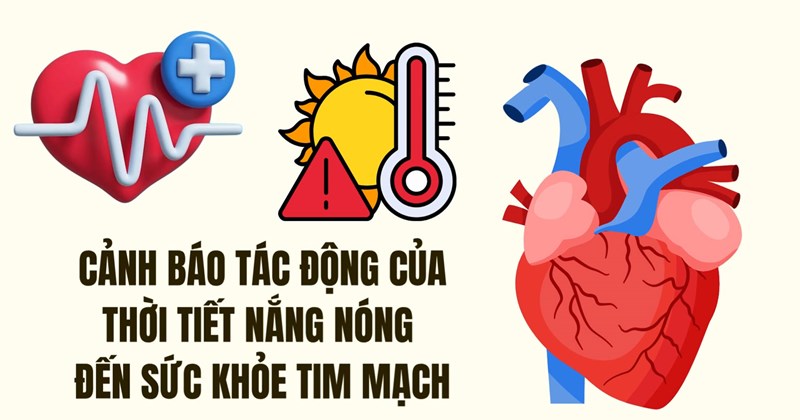 Nắng nóng: Cảnh báo về sức khỏe tim mạch