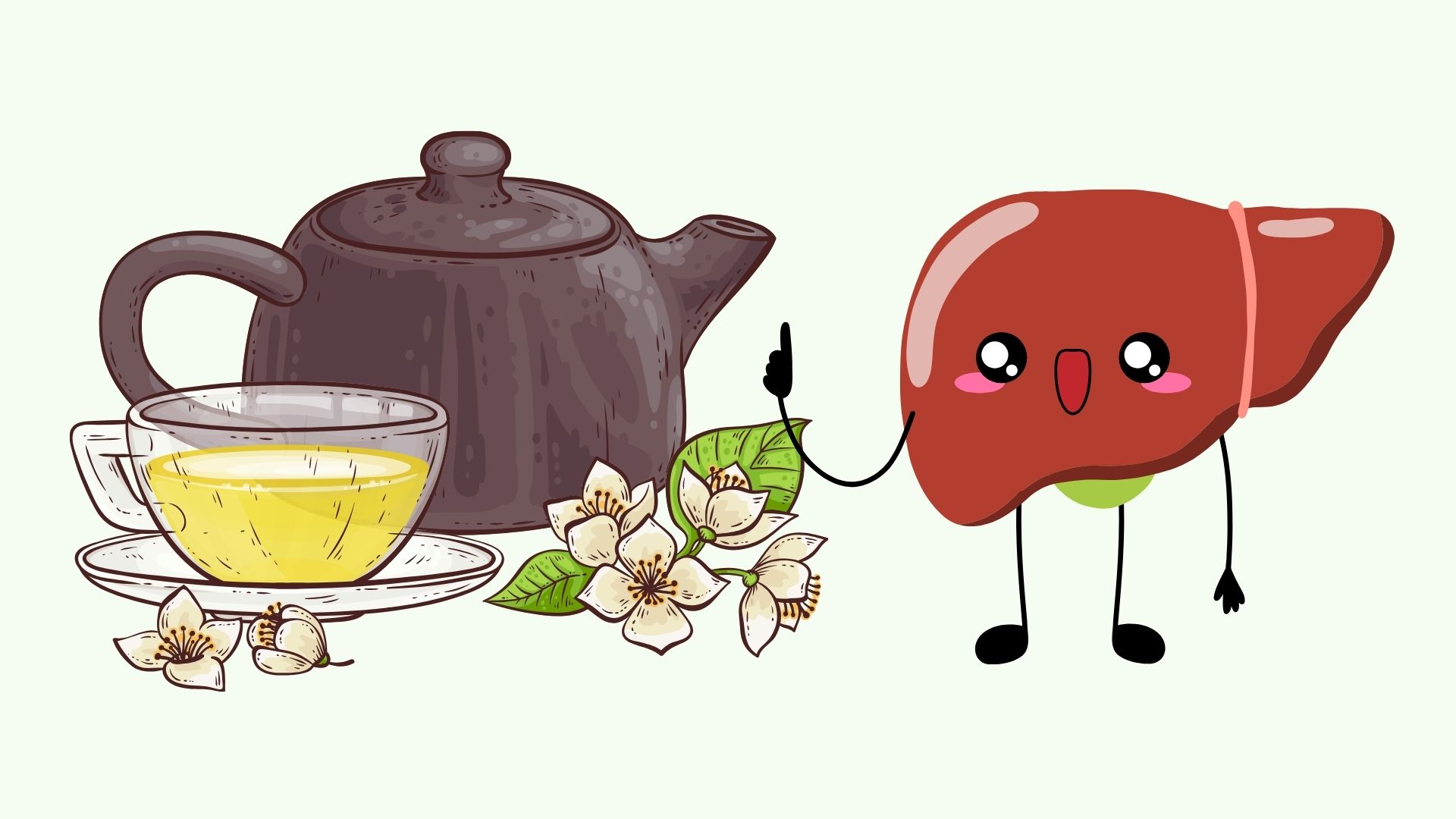 ¿Cómo es el hígado cuando bebe té todos los días? Gráfico; Linh Dan
