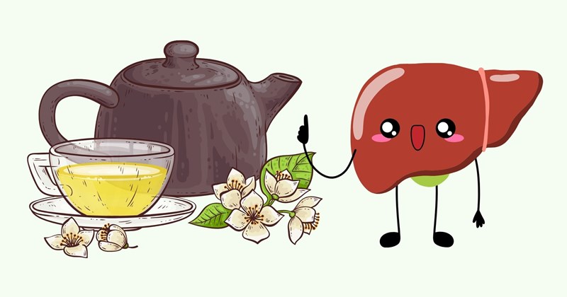 Uống trà mỗi ngày: Gan sẽ ra sao?