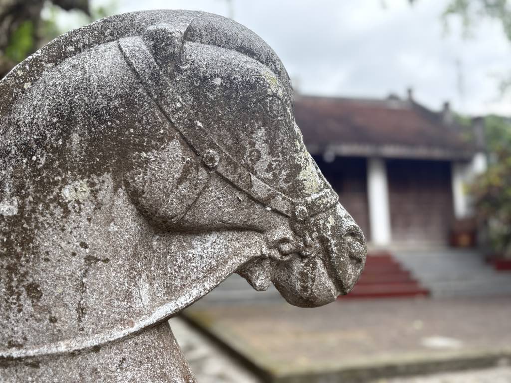 Close-up of a stone horse statue in the relic site. Photo: Thuc Quyen
