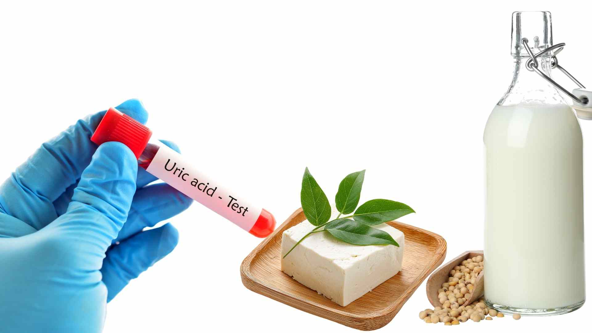 Augmentation de l'acide urique et rôle du soja dans l'alimentation. Graphique: Hạ Mây