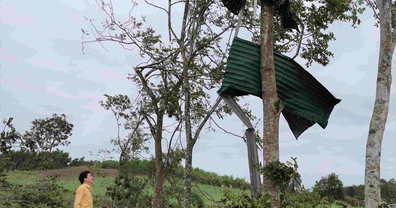 Nghệ An: Thiệt hại nặng nề sau trận dông lốc ở xã Quỳ Hợp