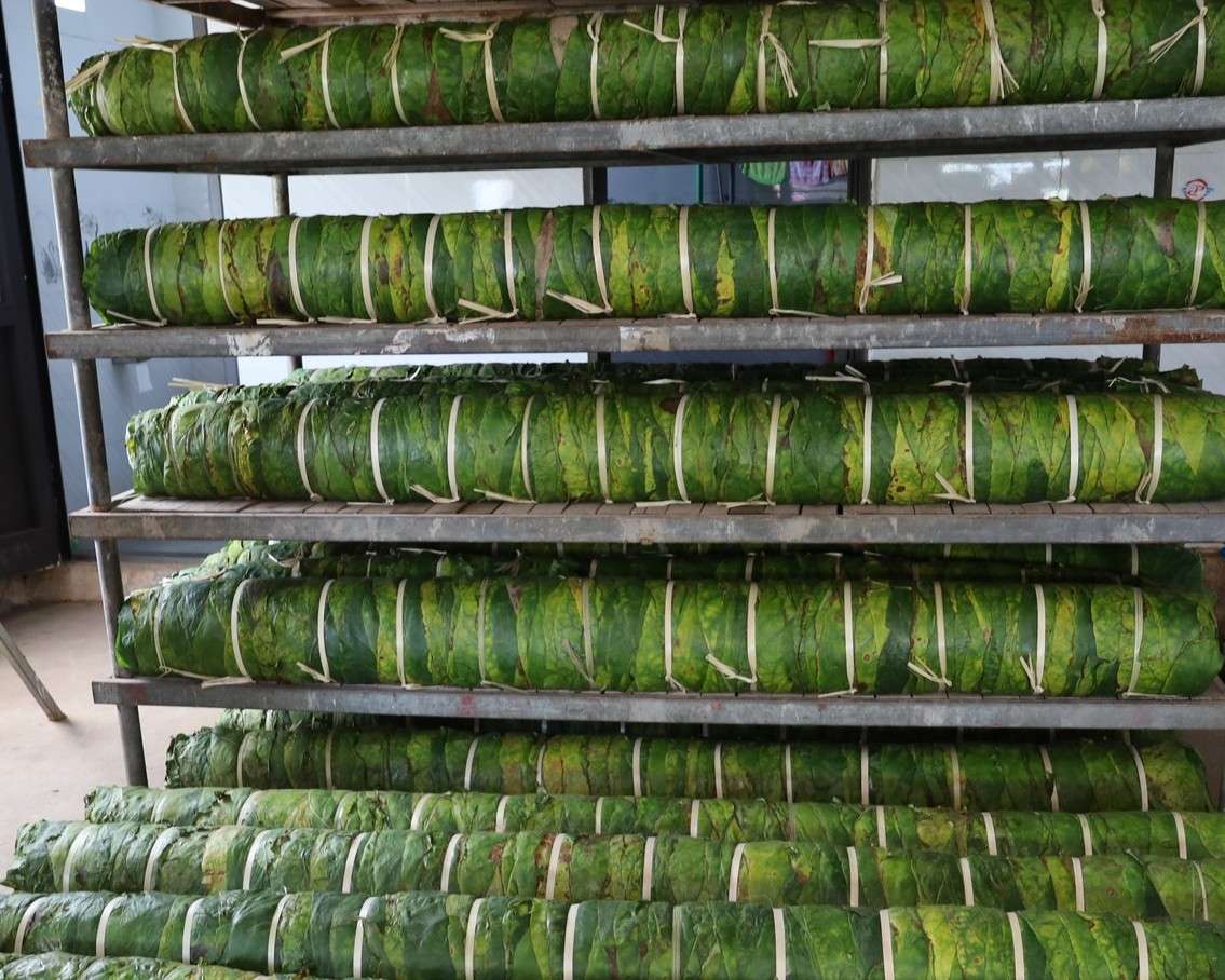 Thuốc lào. 