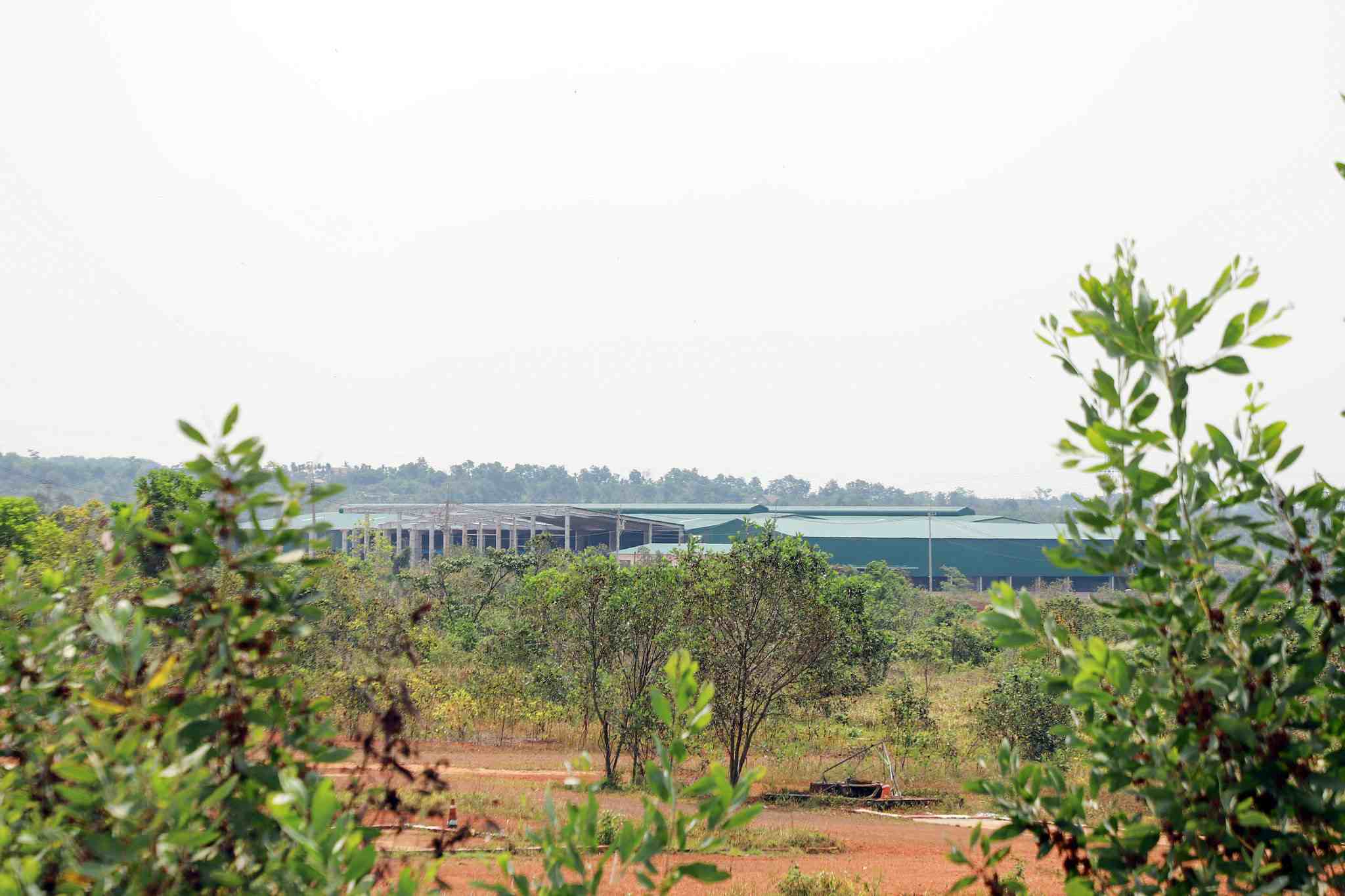 Currently, the occupancy rate of the BMC - Dak Nong Industrial - Handicraft Cluster project has not reached 30%. Photo: Phuc Khanh