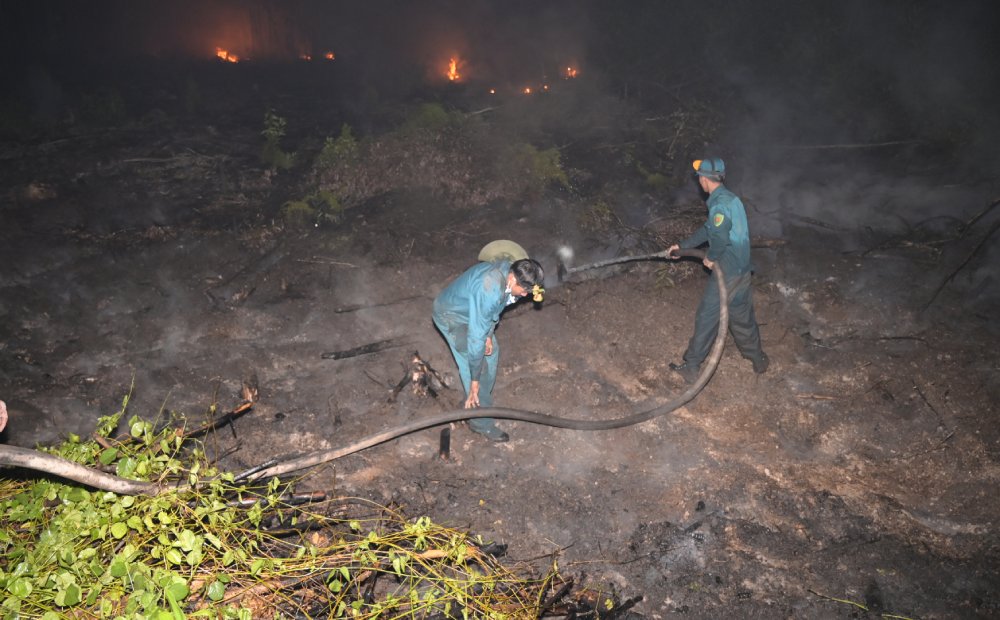 Forces participating in fighting forest fires in Co To commune. Photo: Phuong Vu