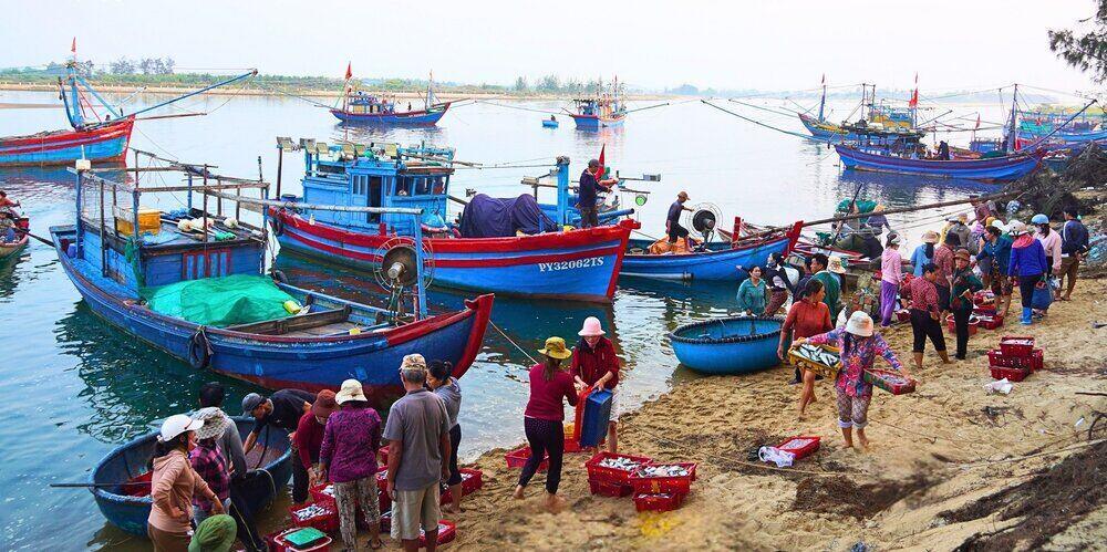 Khi các tàu cập bờ cũng là lúc chợ mực ở Cửa Lở bắt đầu hoạt động. Ảnh: Đông Giang