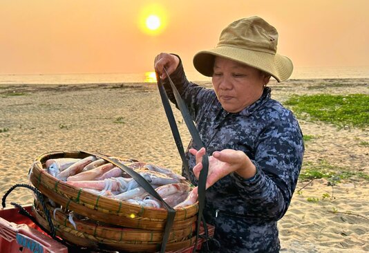 Mực câu loại lớn có giá 380 nghìn đồng/kg. Ảnh: Đông Giang