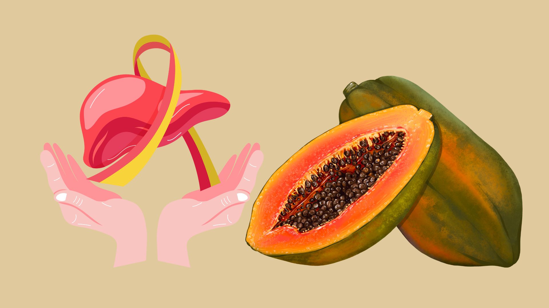 Papaya is one of the fruits with the ability to naturally detoxify the liver. Photo: Hoang Loc