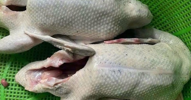 Mẹo chế biến thịt vịt giải nhiệt, tốt cho gan