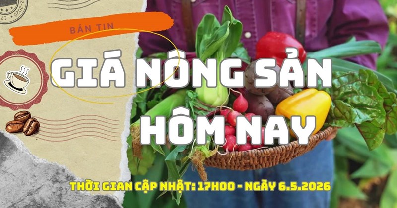 Giá nông sản hôm nay 6/5: Cà phê khởi sắc