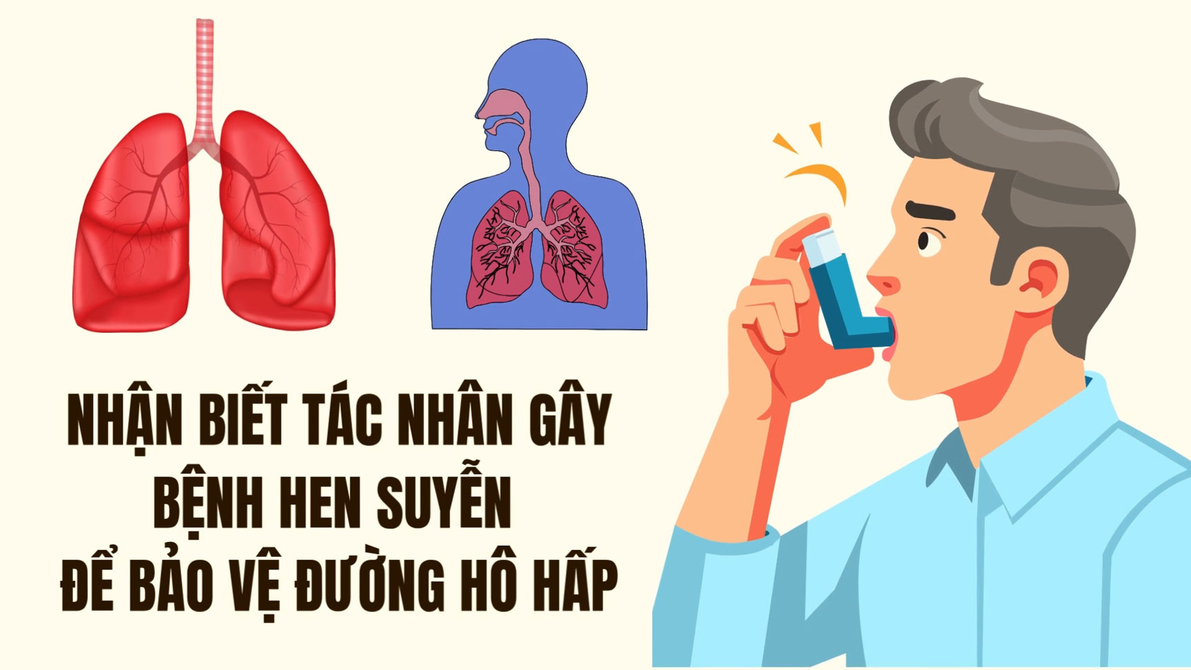 Asthma triggers exist both indoors and outdoors.
