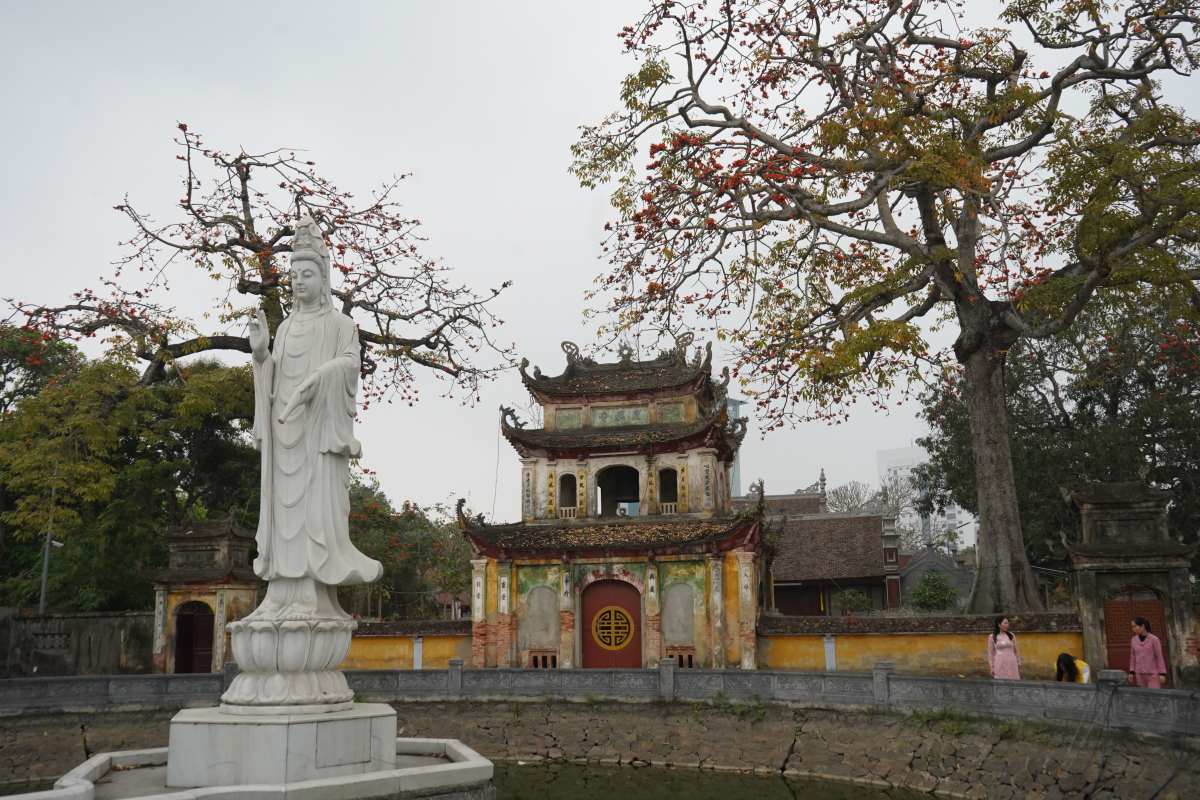 ハイフォンにある築400年以上の寺院の三関門の両側にある2本の古木。写真:マイ・ズン