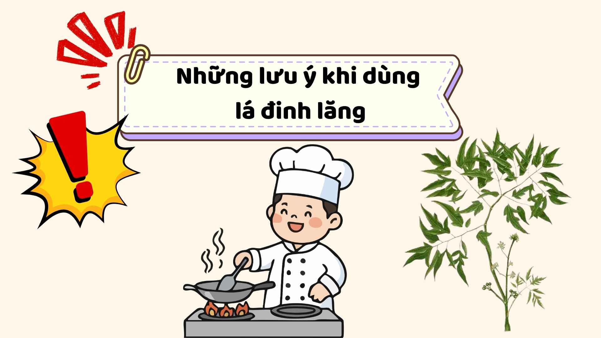 Notes when using Dinh Lang leaves