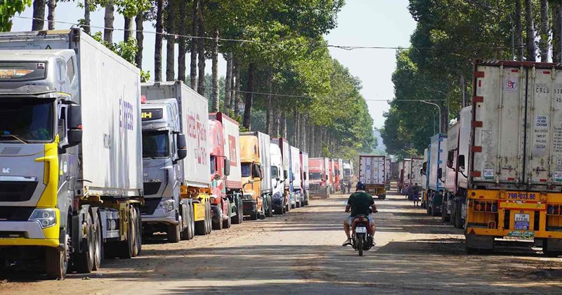 Xe chở sầu riêng tiếp tục xếp hàng dài ở Đồng Nai