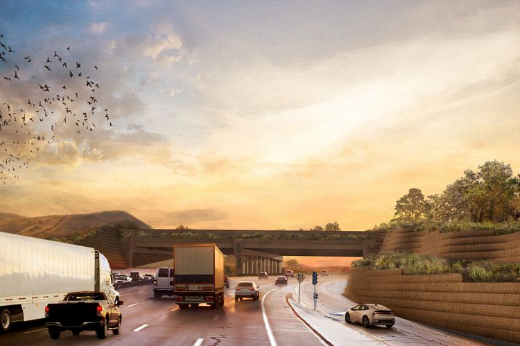 The world's largest overpass for wildlife will be inaugurated in the US this year. Photo: National Wildlife Association of America
