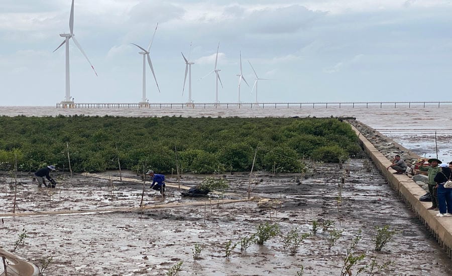 Wind power is being developed in many provinces and cities of Vietnam. Photo: Thuy Linh