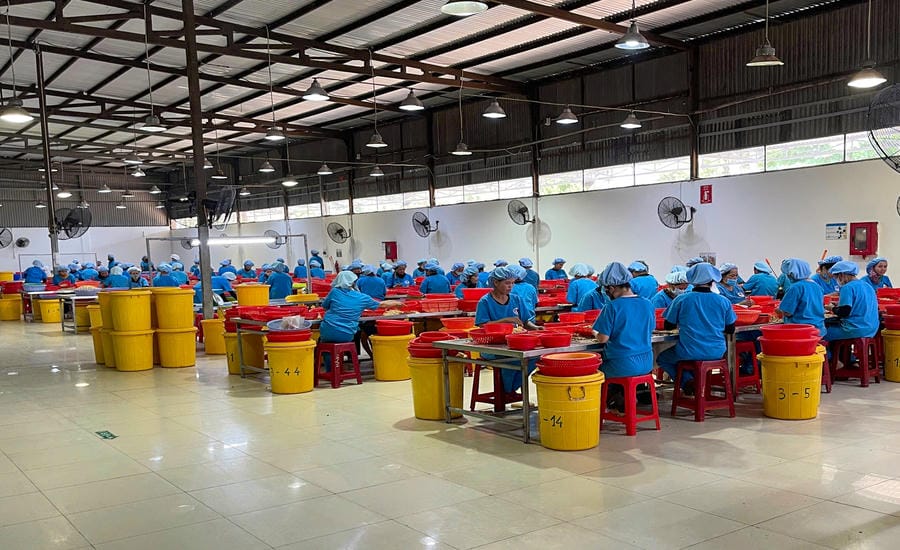 Workers in the hand silk shell sewing department at the branch of Olam Gia Lai Co., Ltd. Photo: Hoai Phuong