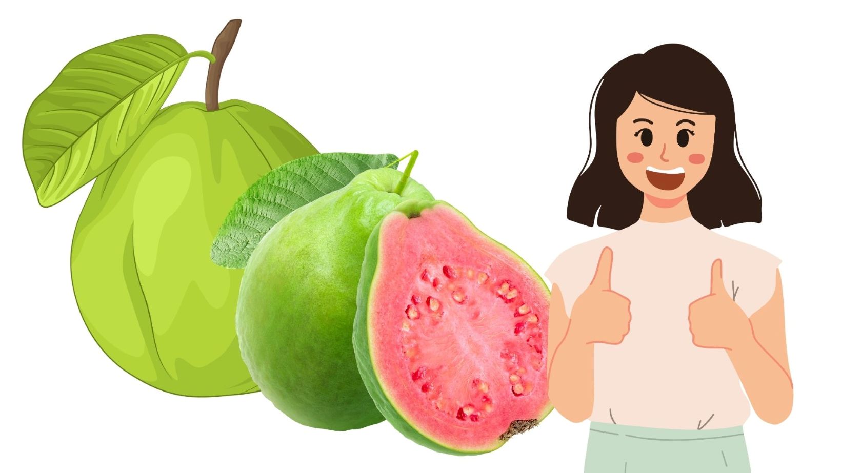 Guava fruit is rich in nutrients, bringing many health benefits. Graphics: Thanh Thanh