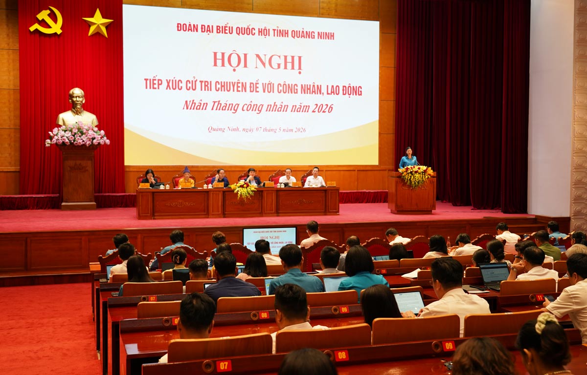 Quang cảnh cuộc 