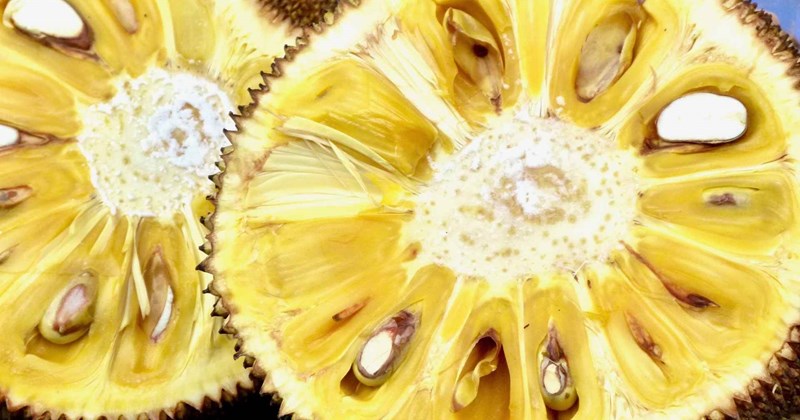 Mít rất ngon nhưng thế hệ sau không nên ăn