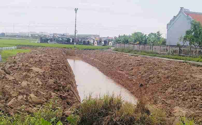 Phát hiện trường hợp tự ý đào rãnh trên đất trồng lúa ở Tứ Minh