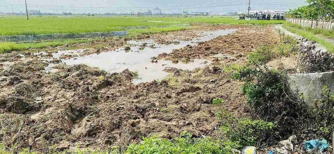 Tu Minh ward proactively prevents violations in agricultural land use. Photo: Nguyen Thuong