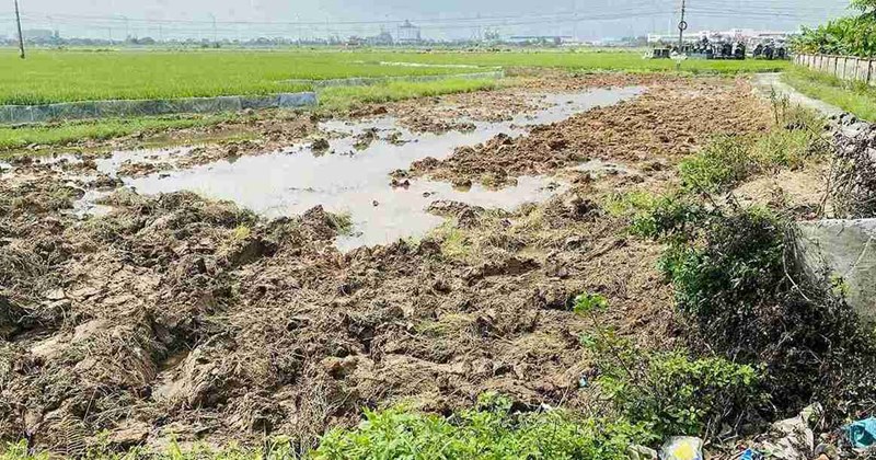 Hải Phòng: Khôi phục đất nông nghiệp bị vi phạm ở phường Tú Minh