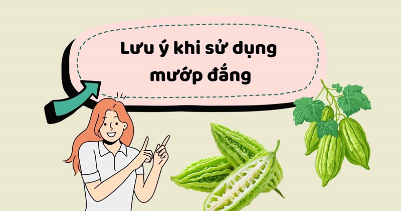 Lưu ý khi sử dụng mướp đắng
