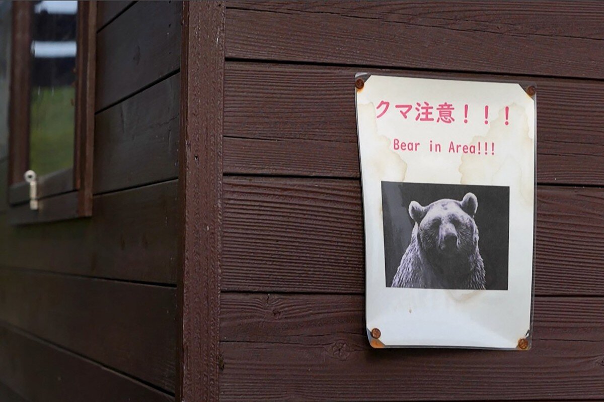 A bear warning sign in Japan. Photo: AFP
