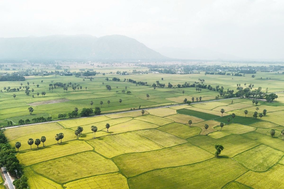 Ảnh: Tạ Quang