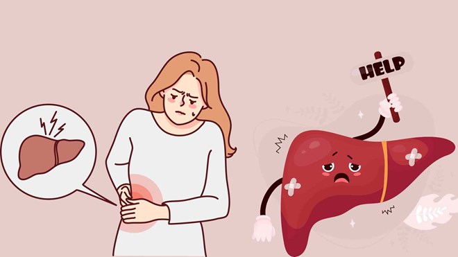 The liver needs to be detoxified to avoid damage. Graphic photo: Huong Giang