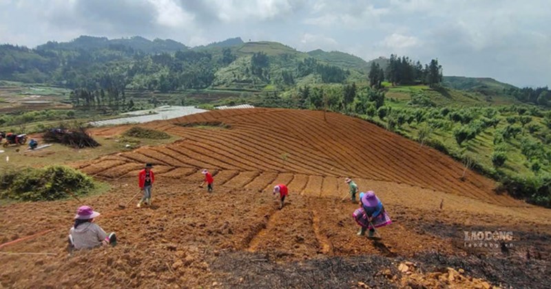 Lào Cai đặt mục tiêu thành lập 60 hợp tác xã nông nghiệp đến năm 2030