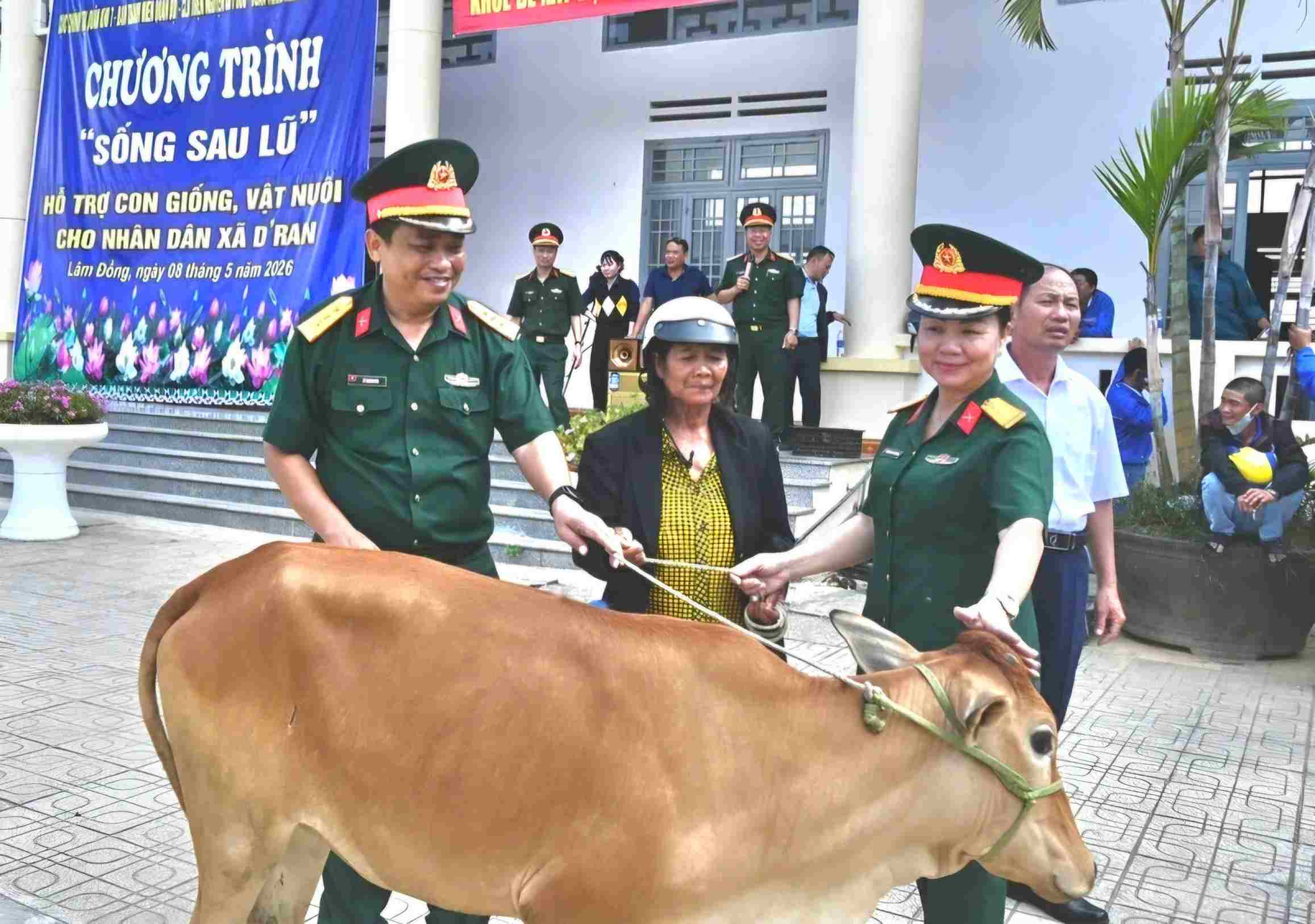 Representatives of the Political Department of Military Region 7 present breeding cows to households in D'ran commune, Lam Dong province. Photo: Ngoc Nga