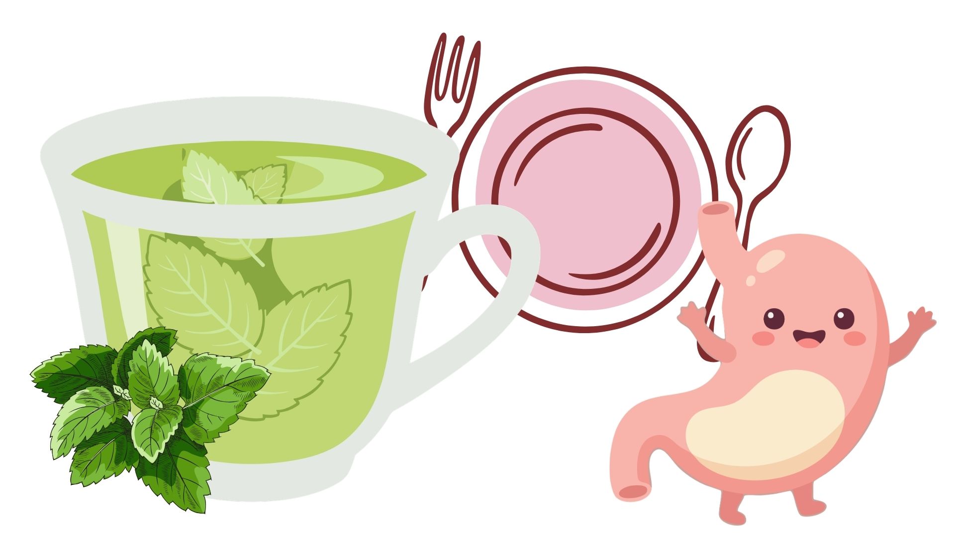 Mint tea is a drink after dinner that helps support digestion. Graphics: Thanh Thanh