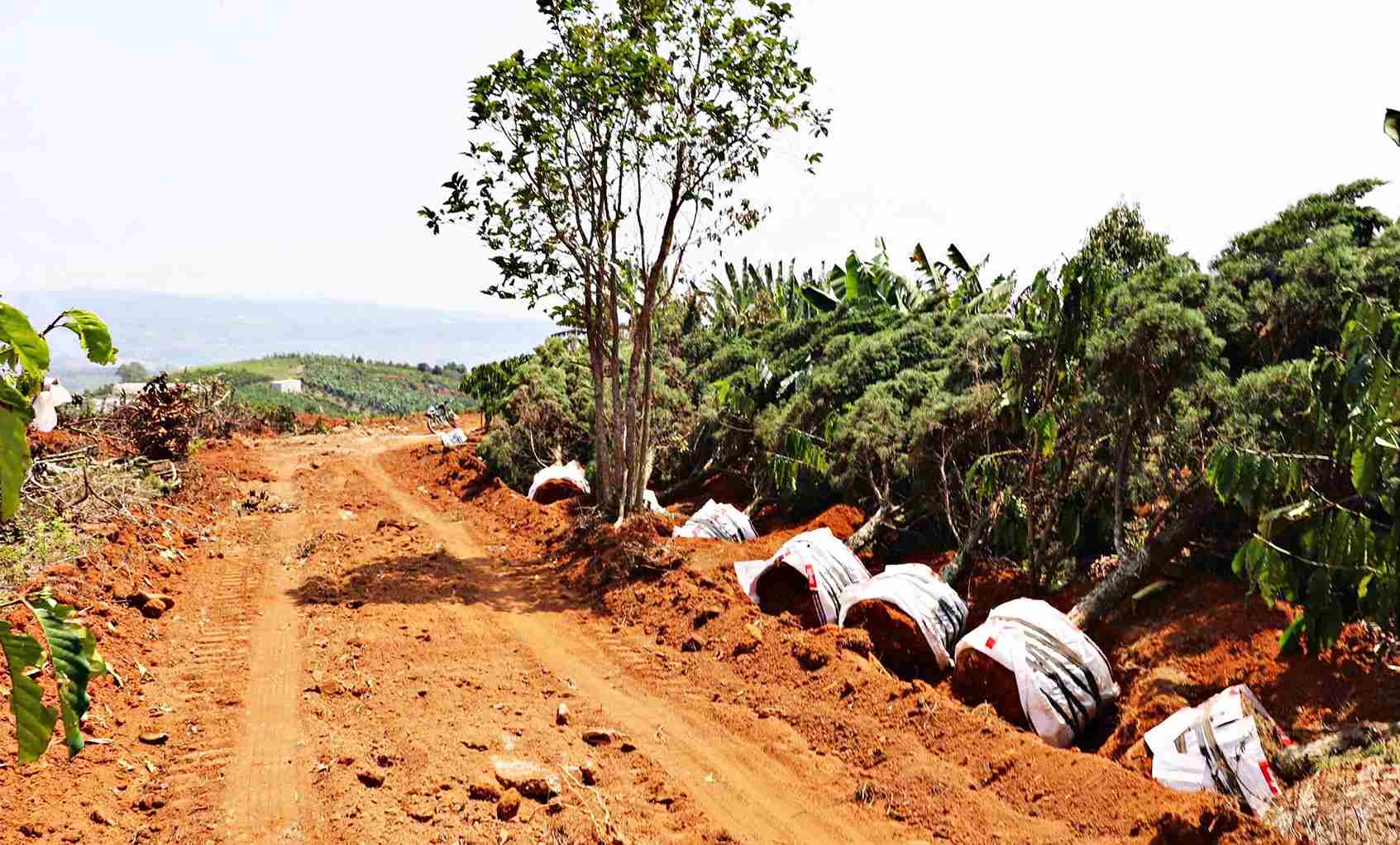 Trên tuyến cao tốc Bảo Lộc - Liên Khương, những vị trí bàn giao mặt bằng đang được thi công. Ảnh: Phúc Khánh