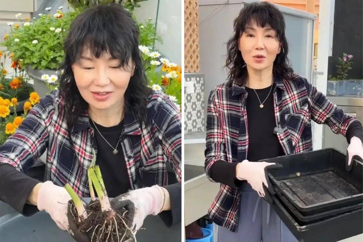 Trương Mạn Ngọc vui vẻ với việc làm vườn. Ảnh: Xinhua